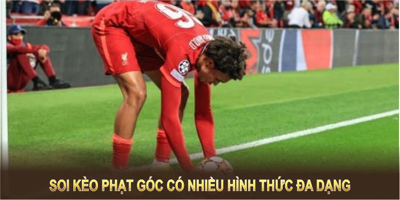 Soi kèo phạt góc có nhiều hình thức đa dạng, phù hợp mọi thành viên